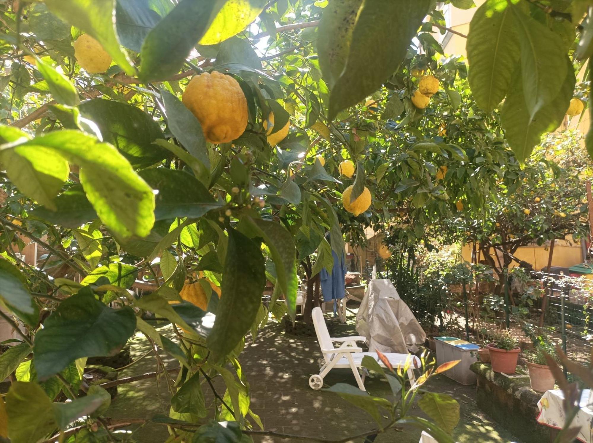 Il Giardino Nascosto Hotel Napels Buitenkant foto
